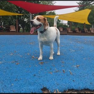 Meet your Posher, Jordan